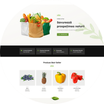 Reclamescu - Productie publicitara, litere volumetrice, casete luminoase - (49)