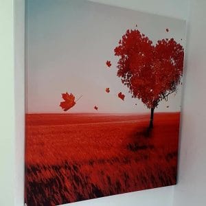 Reclamescu - Productie publicitara, litere volumetrice, casete luminoase - PP 05