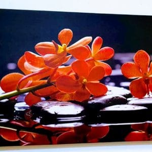 Reclamescu - Productie publicitara, litere volumetrice, casete luminoase - PP 4